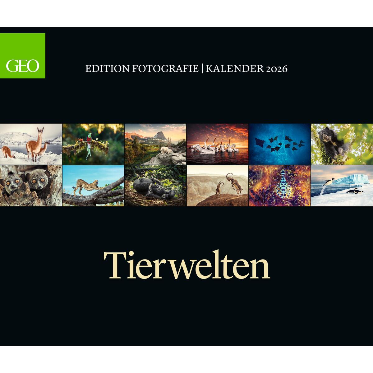 GEO Edition: Tierwelten 2026 - Wand-Kalender - Tier-Kalender - 70x60 von Neumann Verlage GmbH & Co