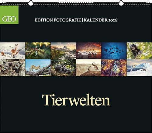 GEO Edition: Tierwelten 2026 - Wand-Kalender - Tier-Kalender - 70x60: Posterkalender von GEO