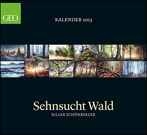 GEO Kalender: Sehnsucht Wald 2023 - Wand-Kalender - Natur-Kalender - 60x55 GEO Kalender: Sehnsucht Wald 2023 - Wand-Kalender - Natur-Kalender - 60x55 von teNeues