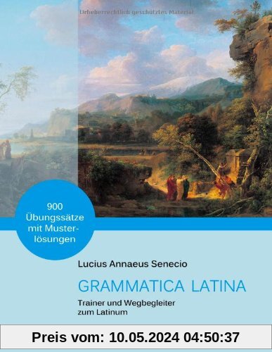 GRAMMATICA LATINA: Trainer und Wegbegleiter zum Latinum