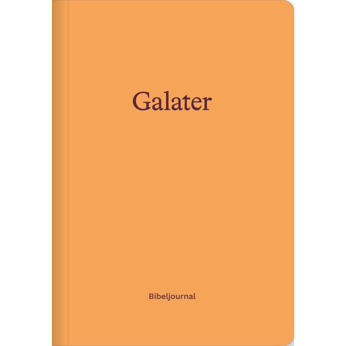 Galater (Bibeljournal) von Verbum Medien