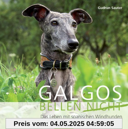 Galgos bellen nicht: Das Leben mit den spanischen Windhunden