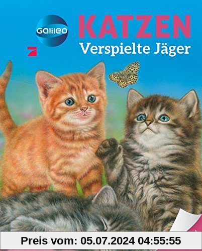 Galileo Wissen: Katzen: Verspielte Jäger