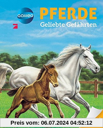 Galileo Wissen: Pferde: Geliebte Gefährten
