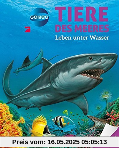 Galileo Wissen: Tiere des Meeres: Leben unter Wasser Galileo Wissen: Tiere des Meeres: Leben unter Wasser