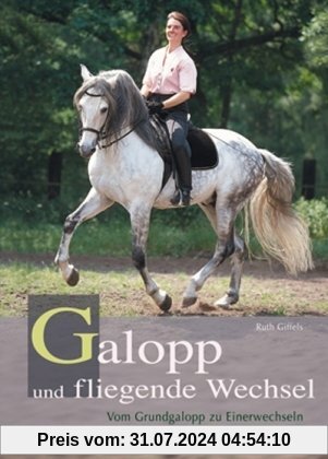 Galopp und fliegende Wechsel: Vom Grundgalopp zum Einerwechsel