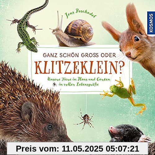 Ganz schön groß oder klitzeklein?: Unsere Tiere in Haus und Garten in voller Lebensgröße