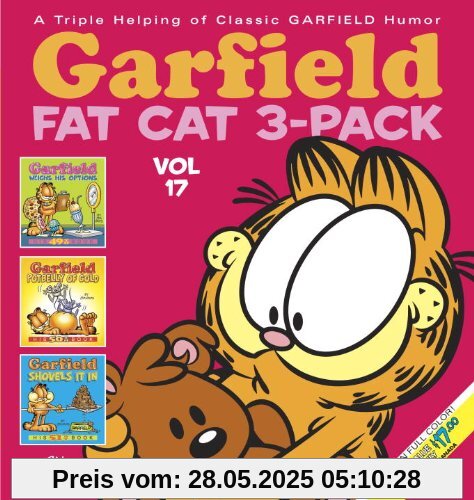 Garfield Fat Cat 3-Pack #17