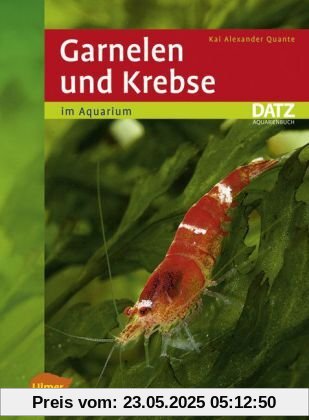 Garnelen und Krebse im Aquarium -