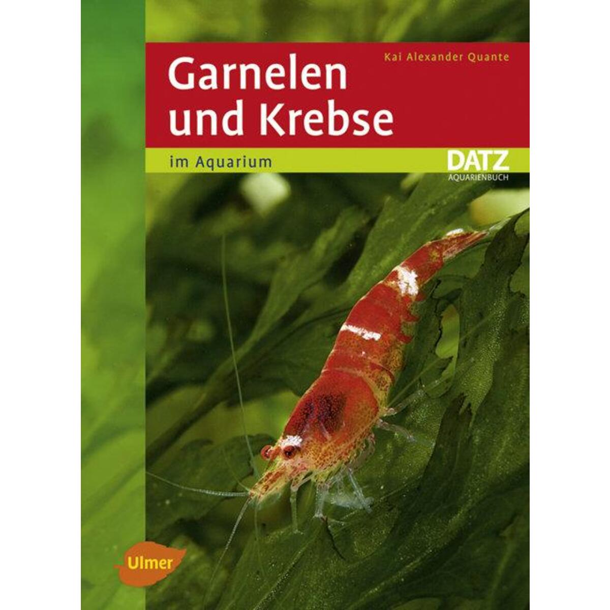 Garnelen und Krebse im Aquarium von Ulmer Eugen Verlag