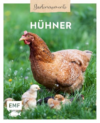 Gartenmomente: Hühner: Hühnerrassen, artgerechte Haltung und Pflege im eigenen Garten Gartenmomente: Hühner: Hühnerrassen, artgerechte Haltung und Pflege im eigenen Garten von Edition Michael Fischer / EMF Verlag