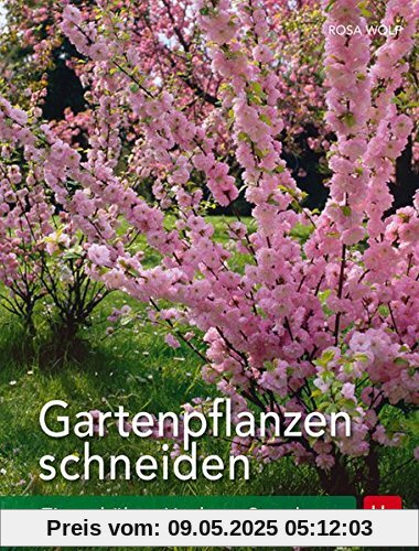 Gartenpflanzen schneiden: Ziergehölze, Hecken, Stauden