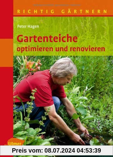 Gartenteiche optimieren und renovieren: Richtig gärtnern