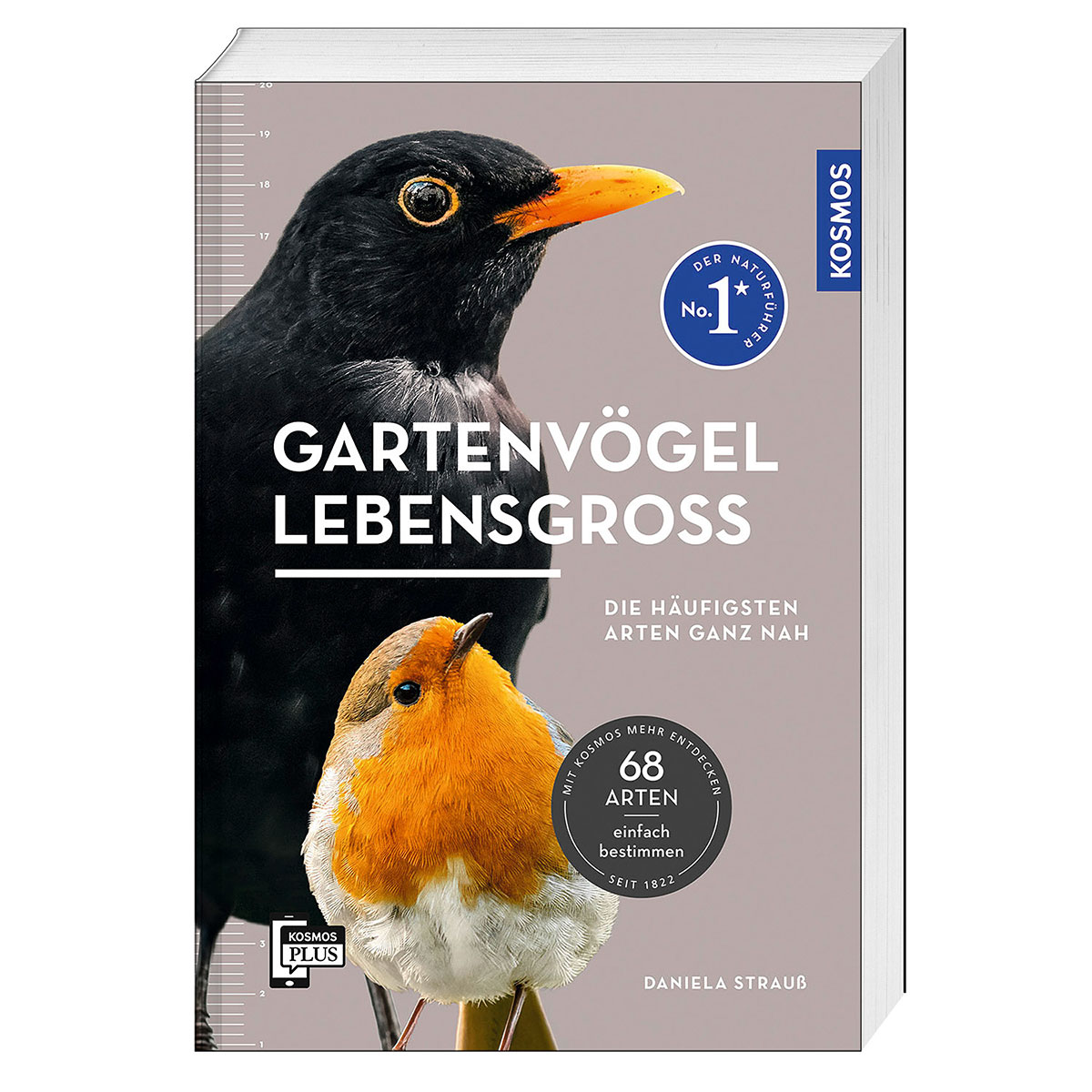 Gartenvögel lebensgroß Gartenvögel lebensgroß von Franckh-Kosmos