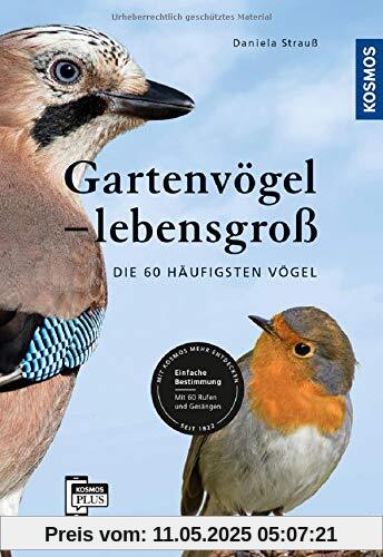 Gartenvögel lebensgroß: Die 60 häufigsten Vögel, Einfache Bestimmung, Mit 60 Rufen und Gesängen Gartenvögel lebensgroß: Die 60 häufigsten Vögel, Einfache Bestimmung, Mit 60 Rufen und Gesängen
