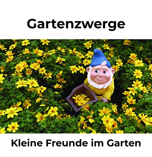 Gartenzwerge: Kleine Freunde im Garten von 27 Amigos