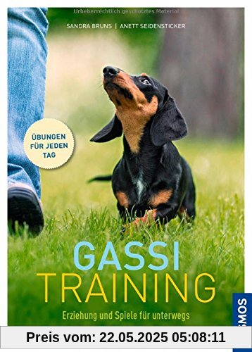 Gassi-Training: Erziehung und Spiele für unterwegs