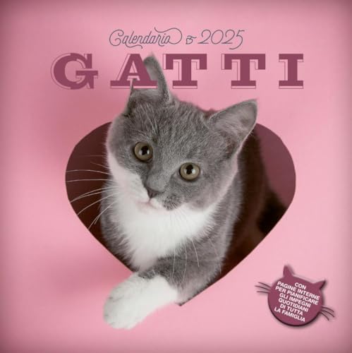 Gatti. Calendario 2025 da parete (30 x 30 cm). Ediz. a colori (Varia Demetra) von Demetra