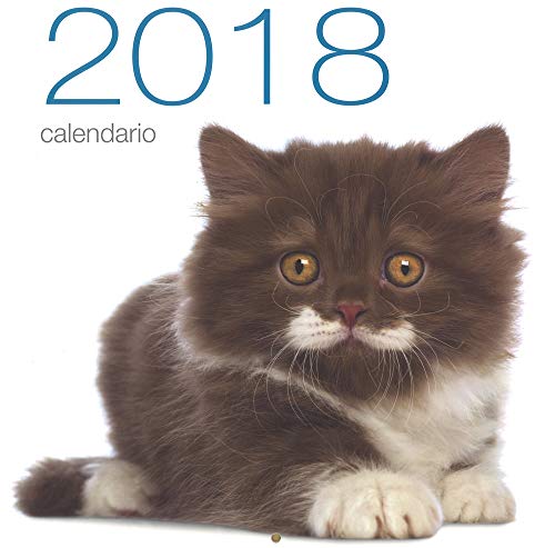 Gatti. Calendario da muro 2018. Ediz. illustrata von White Star