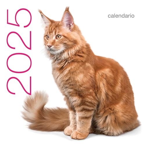 Gatti. Calendario da muro 2025 von White Star