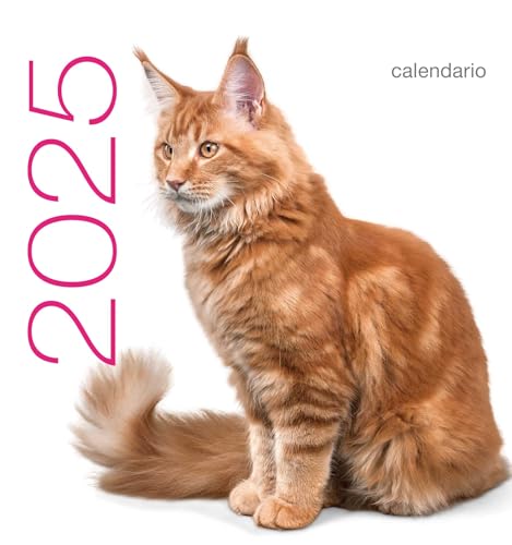 Gatti. Calendario da tavolo 2025 Gatti. Calendario da tavolo 2025 von White Star