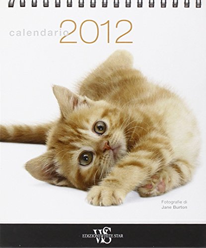 Gattini. Calendario da tavolo 16 x 16 von White Star