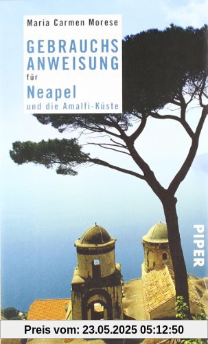 Gebrauchsanweisung für Neapel und die Amalfi-Küste