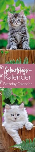 Geburtstags-Langplaner Cats von Korsch Verlag