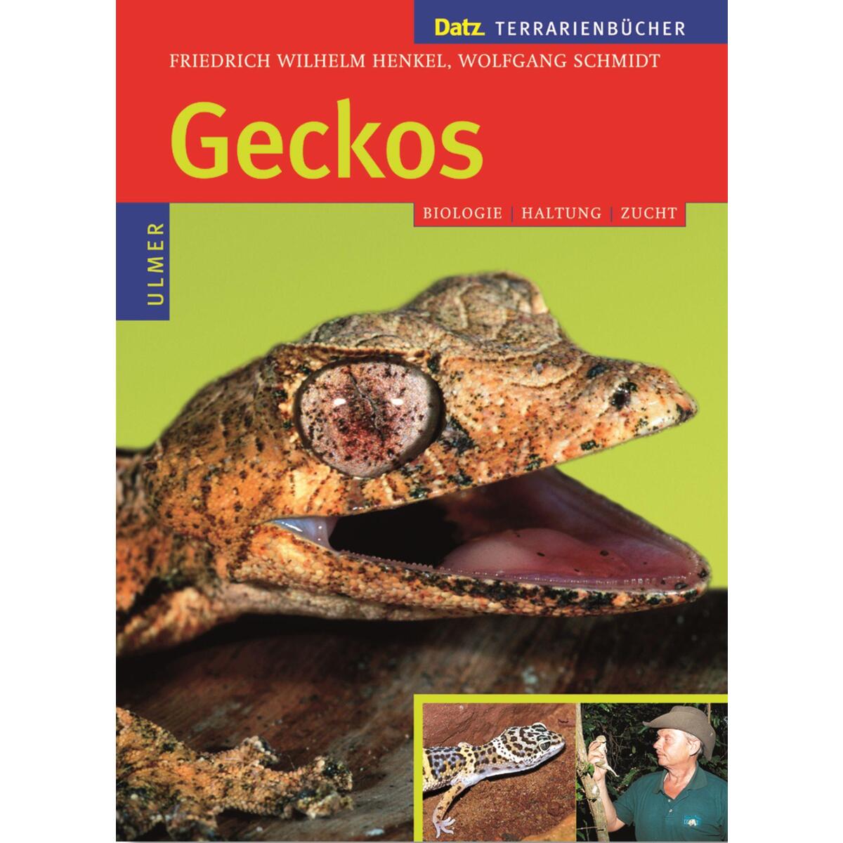 Geckos Geckos von Ulmer Eugen Verlag