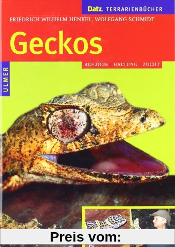 Geckos: Biologie, Haltung und Zucht