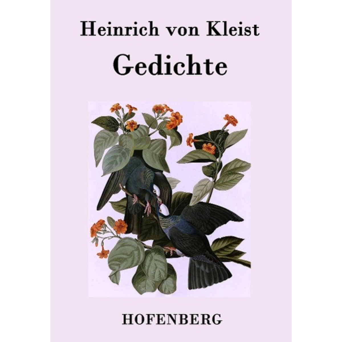 Gedichte / Gelegenheitsverse und Albumblätter von Hofenberg