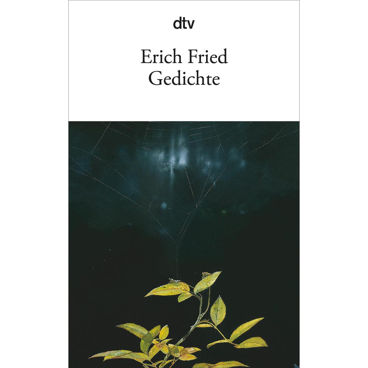 Gedichte Gedichte von dtv Verlagsgesellschaft