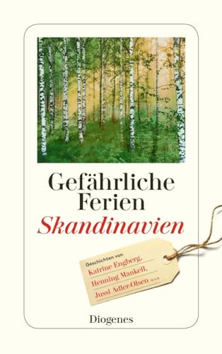 Gefährliche Ferien - Skandinavien: mit Katrine Engberg und vielen anderen (detebe)