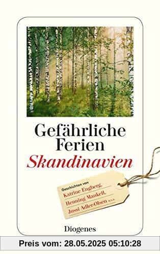 Gefährliche Ferien - Skandinavien (detebe)