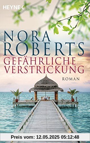 Gefährliche Verstrickung: Roman