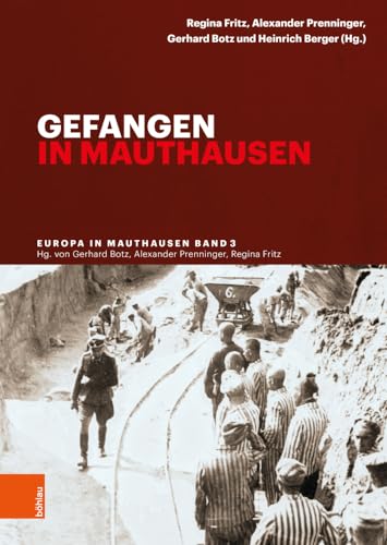 Gefangen in Mauthausen (Europa in Mauthausen. Geschichte der Überlebenden eines nationalsozialistischen Konzentrationslagers) von Böhlau Verlag Wien