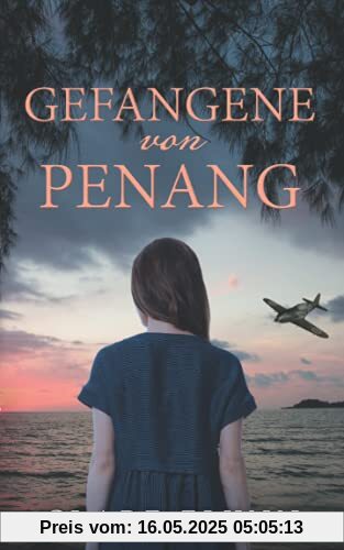 Gefangene von Penang (Penang Historischer Roman, Band 2)