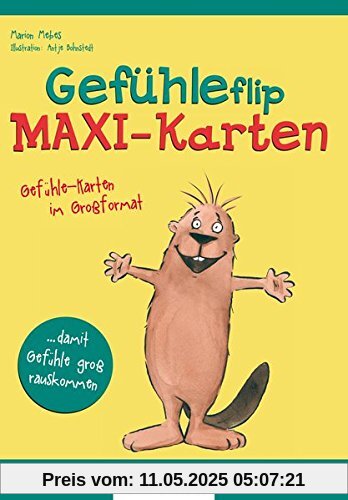 Gefühleflip - MAXI-Karten