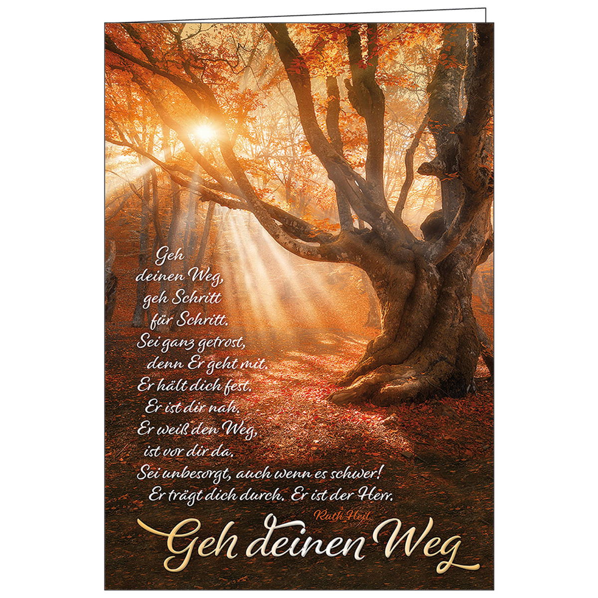 Geh deinen Weg Geh deinen Weg von Kawohl-Verlag