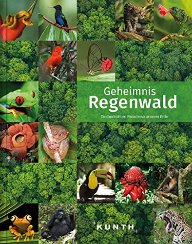 KUNTH Bildband Geheimnis Regenwald: Die bedrohten Paradiese unserer Erde