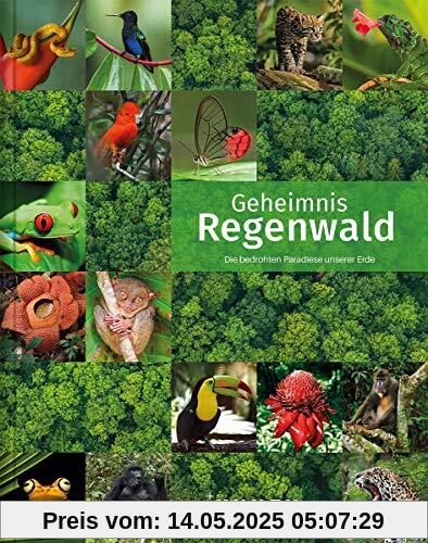 Geheimnis Regenwald: Die bedrohten Paradiese unserer Erde (KUNTH Bildband: Nachschlagewerke)
