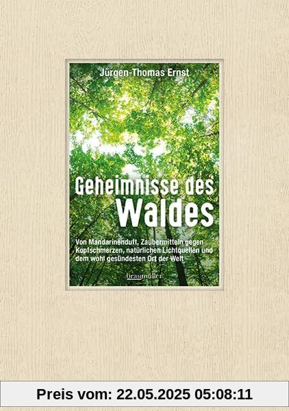 Geheimnisse des Waldes: Von Mandarinenduft, Zaubermitteln gegen Kopfschmerzen, natürlichen Lichtquellen und dem wohl gesündesten Ort der Welt