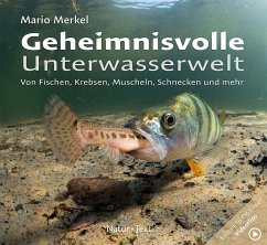 Geheimnisvolle Unterwasserwelt von Natur+Text Verlag
