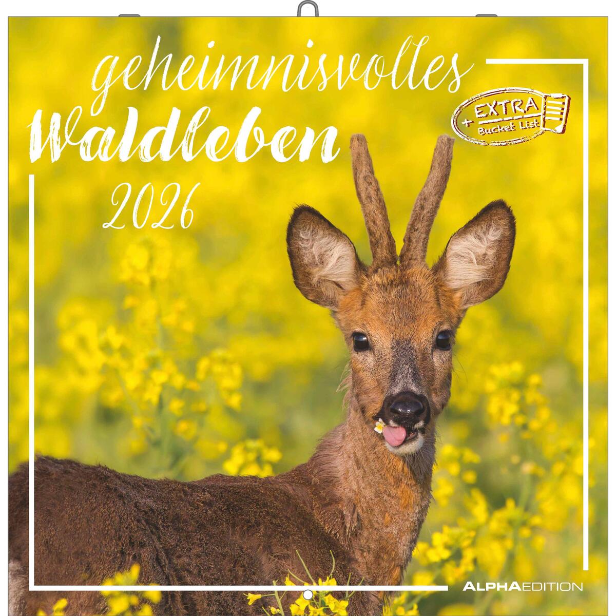 Geheimnisvolles Waldleben 2026 - Broschürenkalender 30x30 cm (30x60 geöffnet) - ... von Neumann Verlage GmbH & Co
