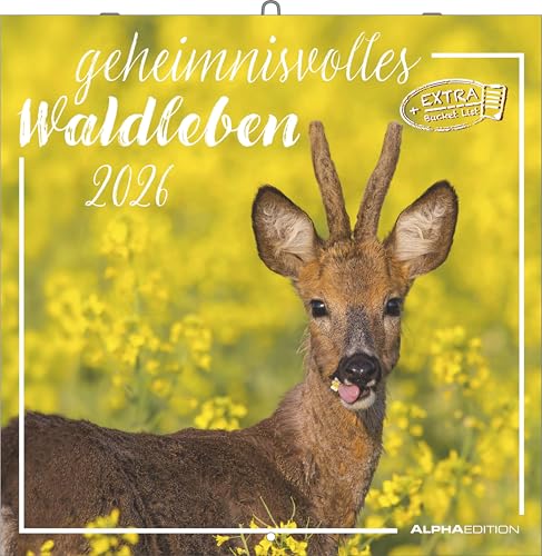 Geheimnisvolles Waldleben 2026 - Broschürenkalender 30x30 cm (30x60 geöffnet) - Kalender mit Platz für Notizen - Forest Animals - Bildkalender - Wandkalender: Forest Animals von ALPHA EDITION