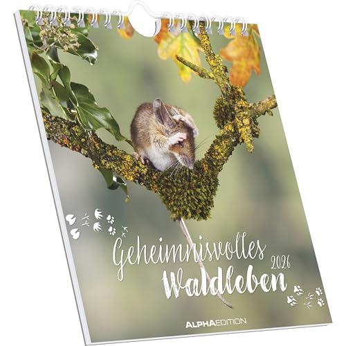 Geheimnisvolles Waldleben von ALPHA EDITION