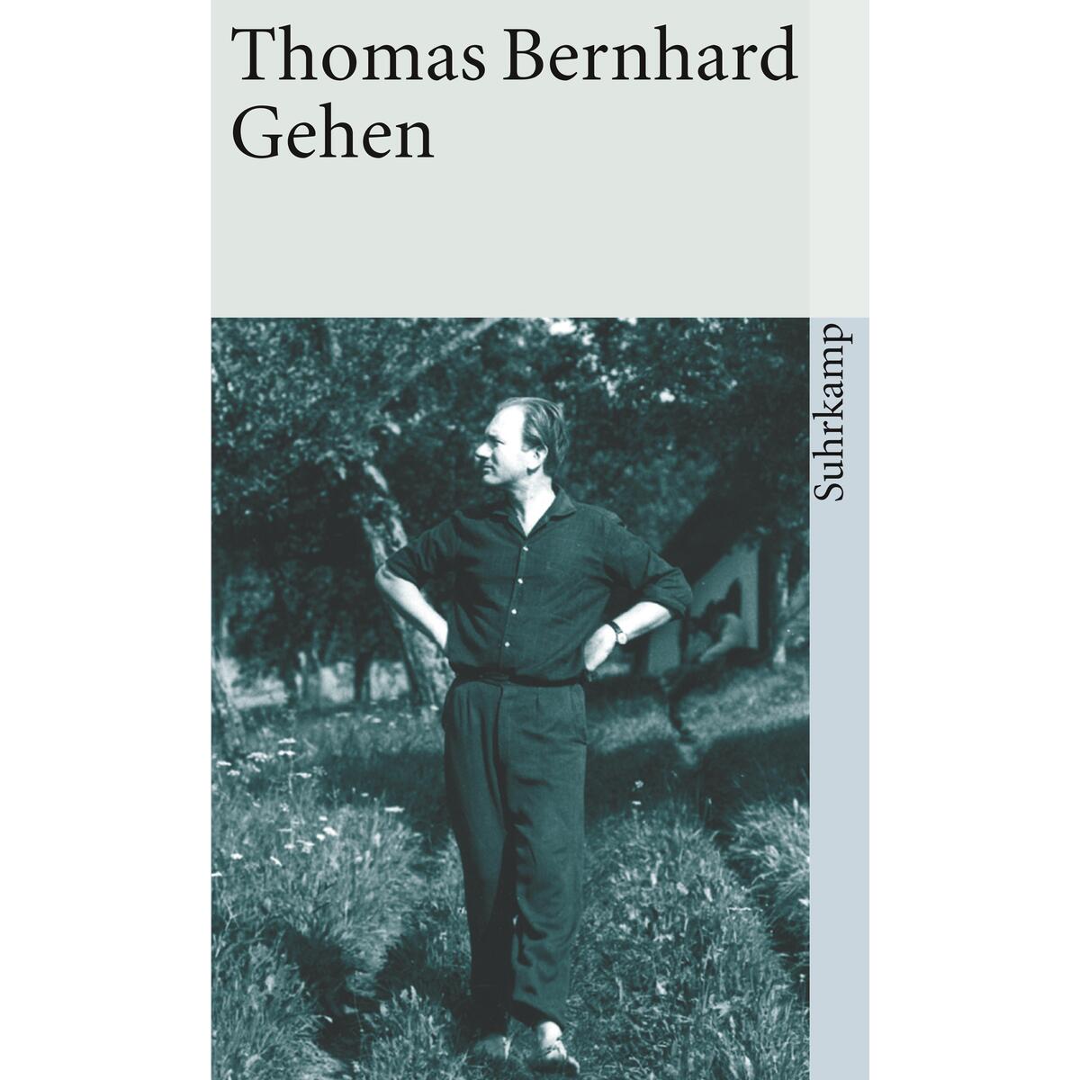 Gehen Gehen von Suhrkamp Verlag