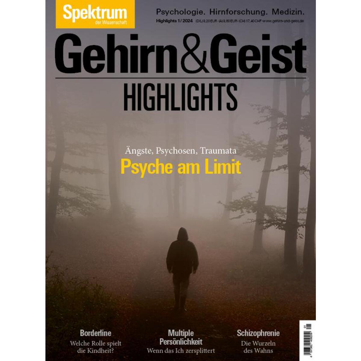 Gehirn&Geist Dossier - Psyche am Limit Gehirn&Geist Dossier - Psyche am Limit von Spektrum D. Wissenschaft
