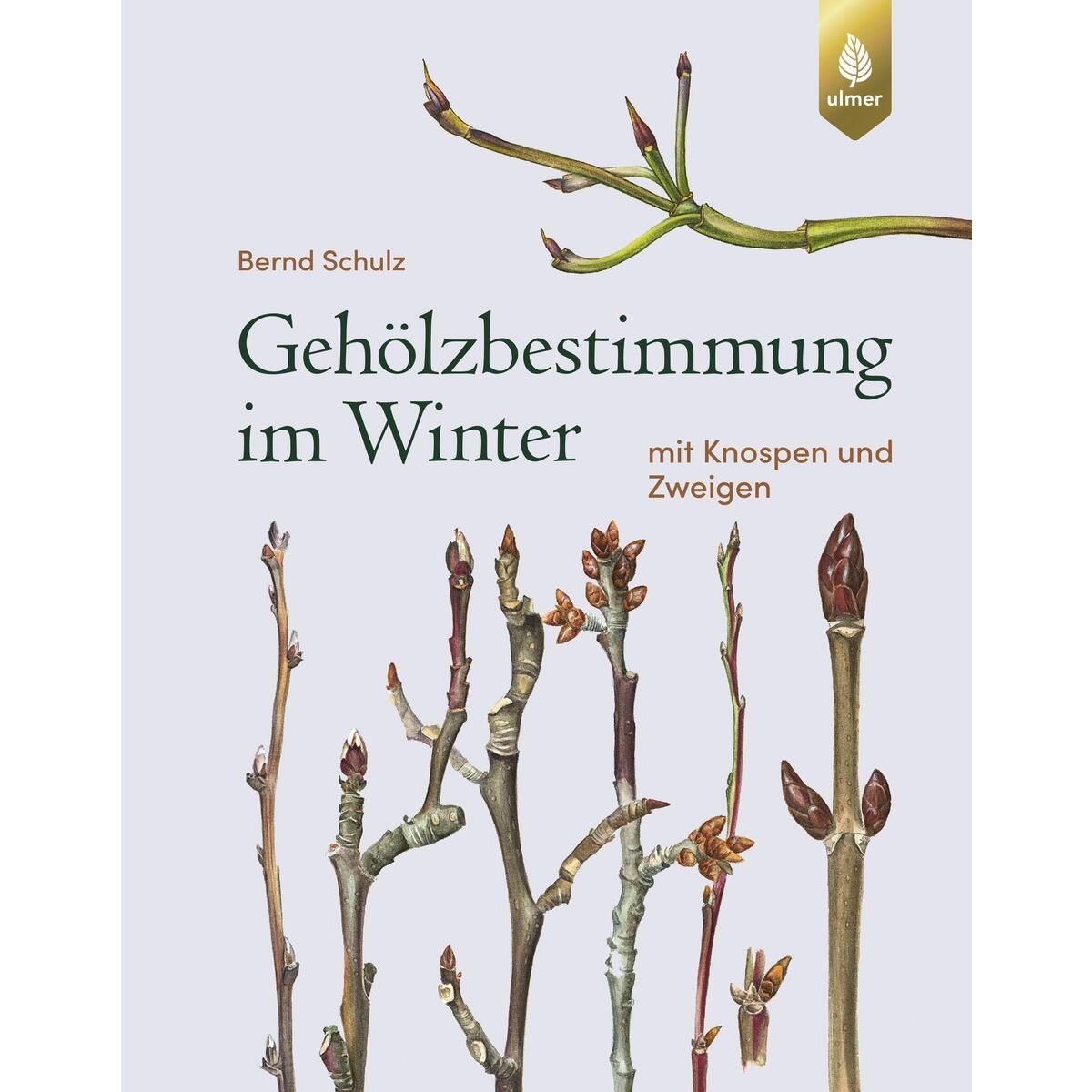 Gehölzbestimmung im Winter von Ulmer Eugen Verlag