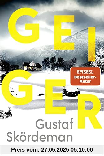 Geiger: Thriller (Geiger-Reihe, Band 1)
